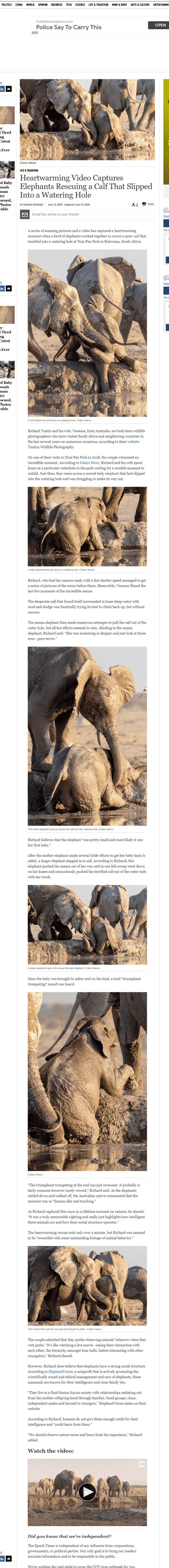 Epoch News, Elephant Save at water hole