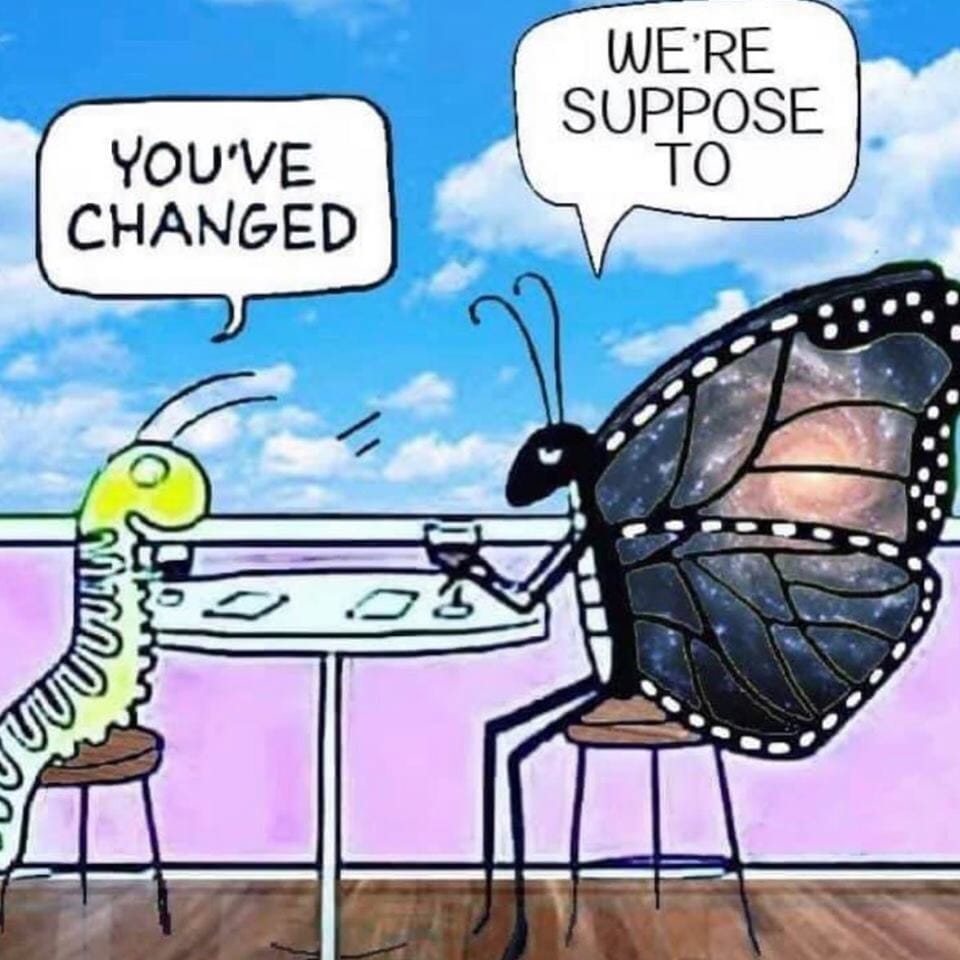 You've changed, said the caterpillar