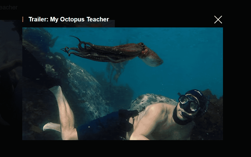 Film with Octopus