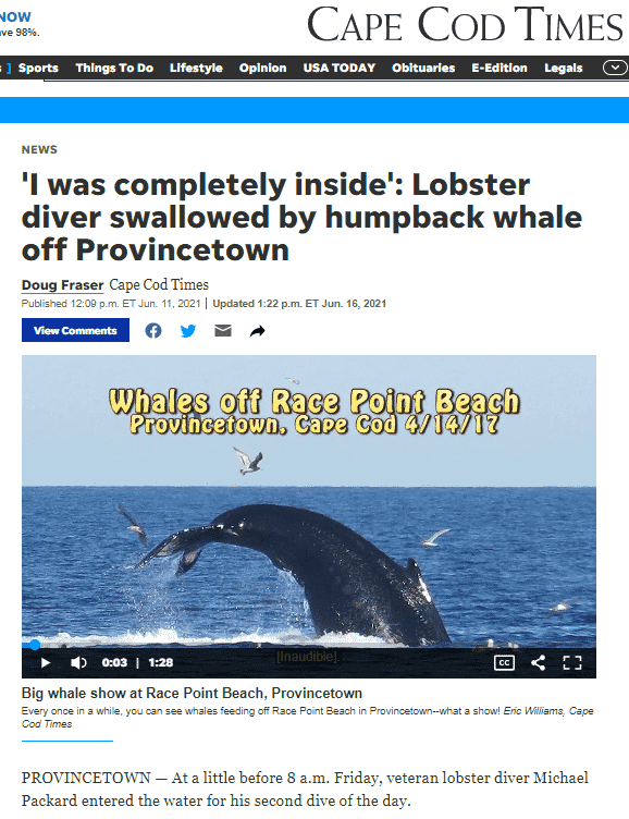 Cape Cod Times splash of whale