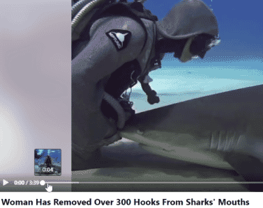 Removed more than 300 hooks from sharks