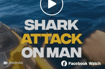 shark attack - FB splash
