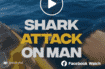 shark attack - FB splash